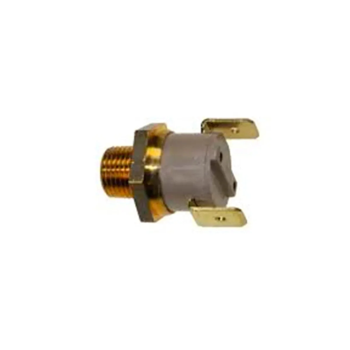 Pressostat Polti M0005038 filetage 1/8" 3,5 bar - Vaporella Pro et Vaporetto