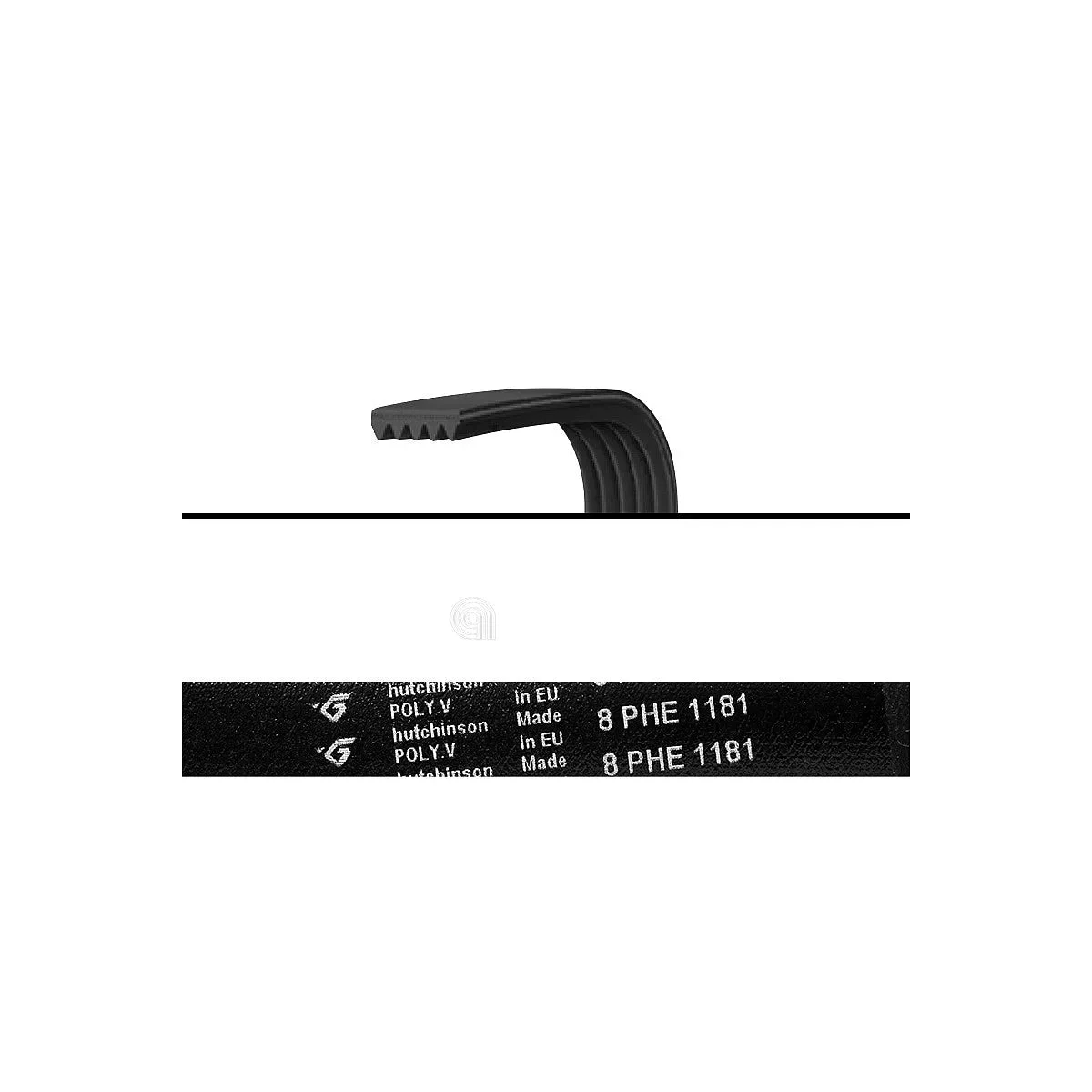 ARISTON, INDESIT, HOTPOINT - Courroie de machine à laver - C00066521