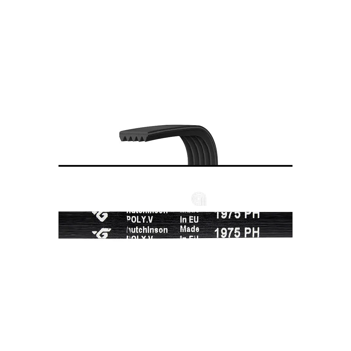 ELECTROLUX - Courroie de Transmission pour Lave-linge et Sèche-linge - AST-00126257