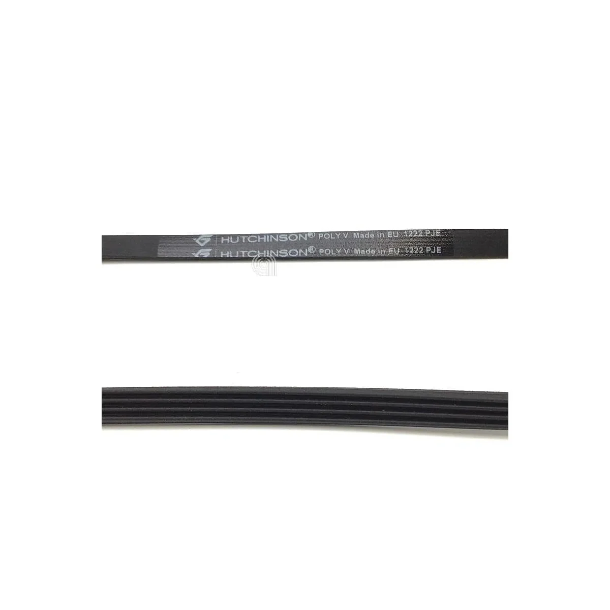 ELECTROLUX, ZANUSSI, BRANDT, FAGOR - Courroie pour lave-linge - 1290775806
