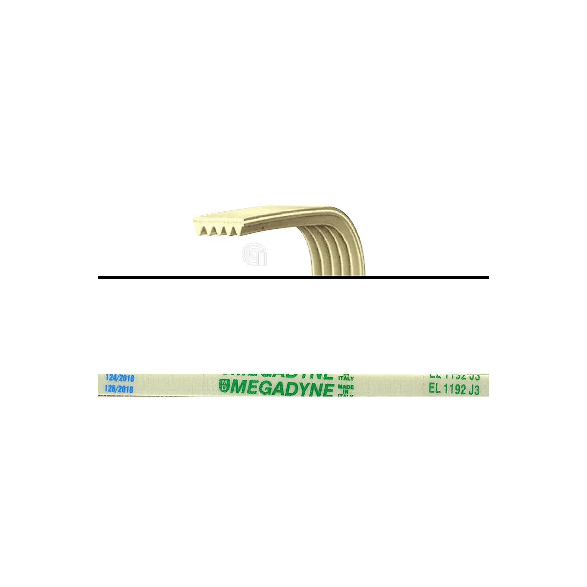AEG ZANUSSI REX - Courroie de rechange pour lave-linge - AST-00126451