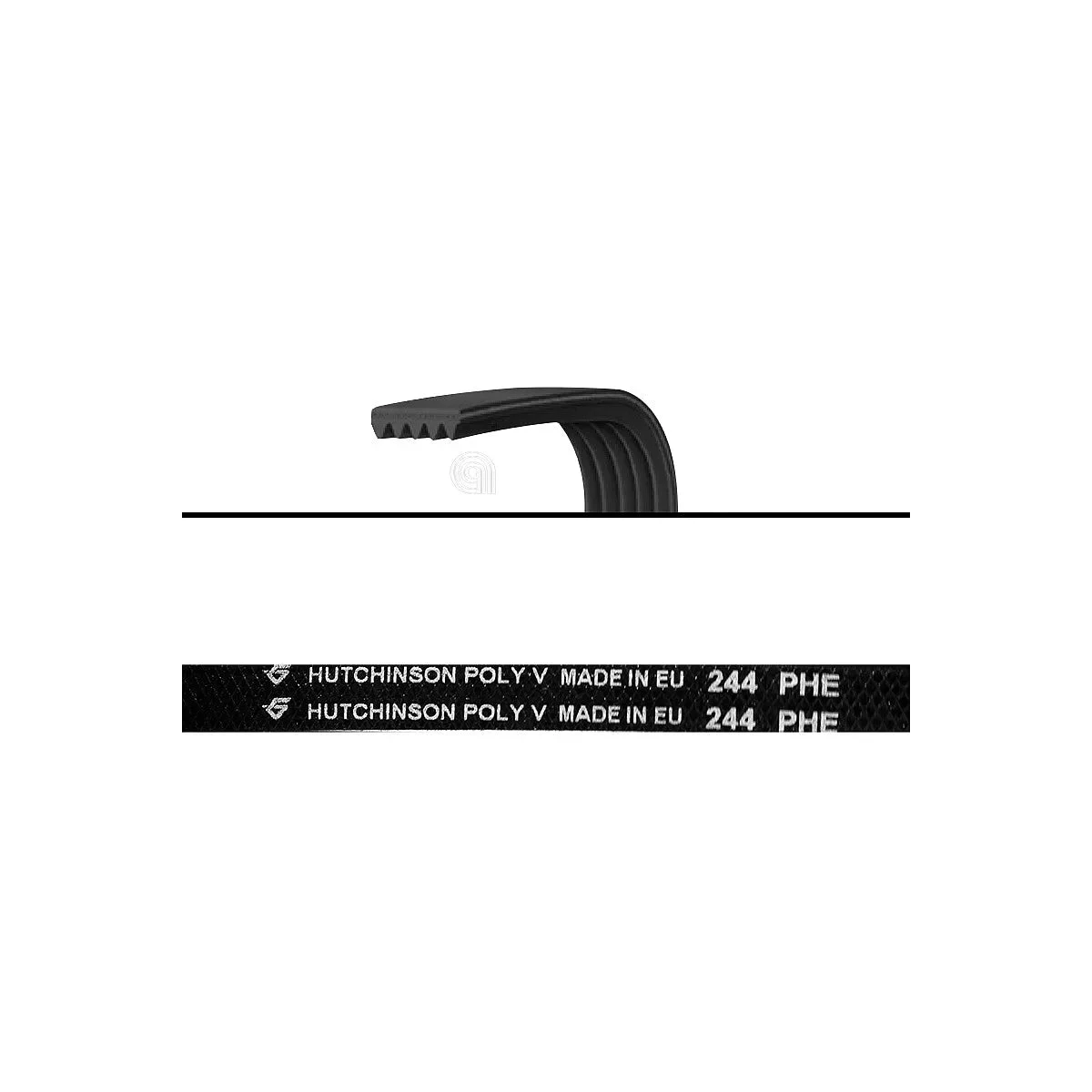 WHIRLPOOL, INDESIT - Courroie sèche-linge Poly-V H4 244 - 480112101253