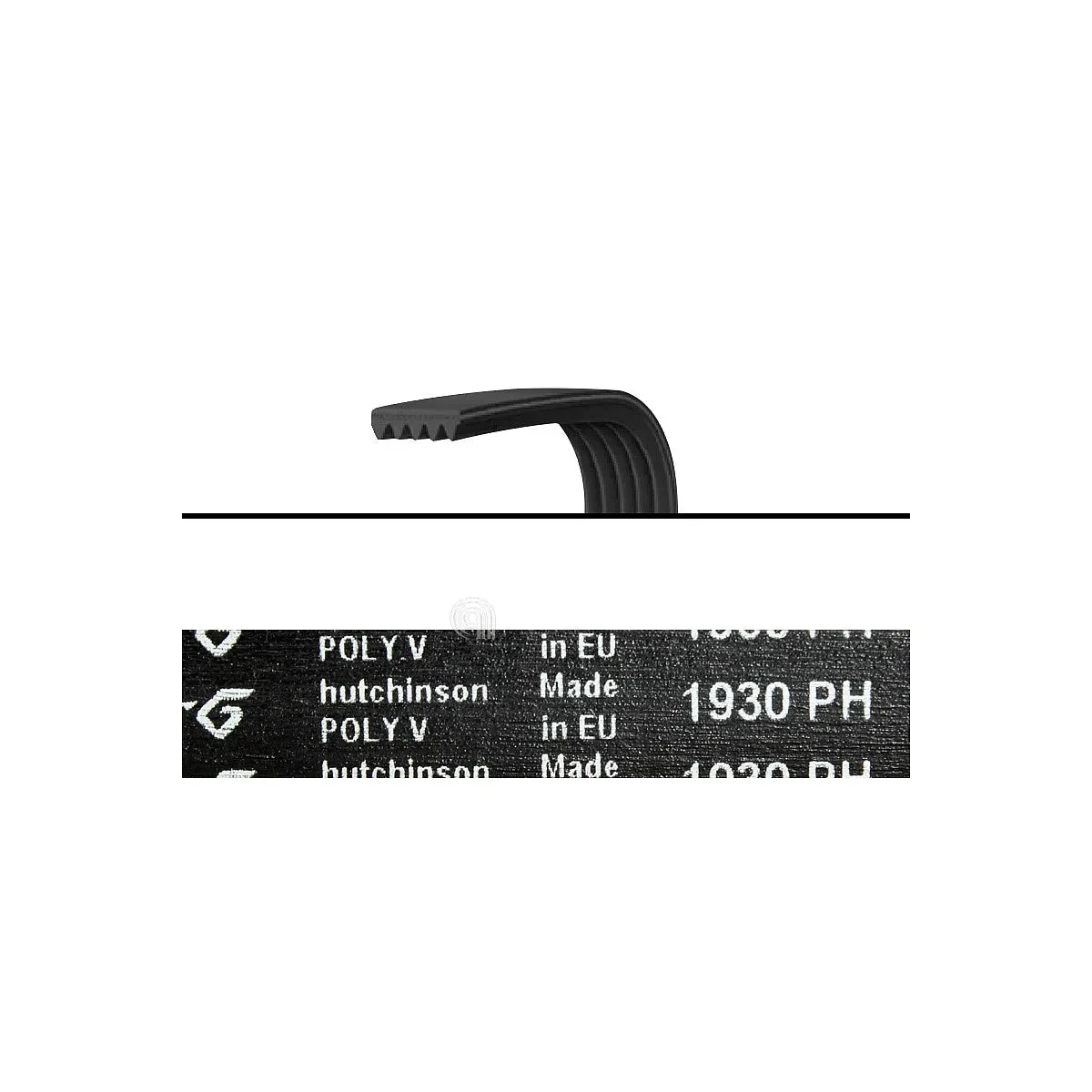 ELECTROLUX WHIRLPOOL CANDY - Courroie de Transmission Poly-V 1930 H7 Sèche-linge Lave-linge - AST-00126325