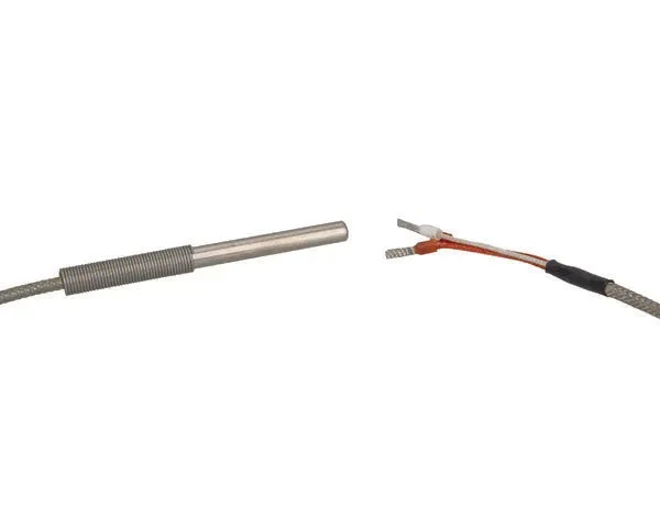 Eliwell sonde de température pt100