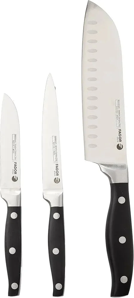 Ensemble de couteaux FAGOR FUTURE