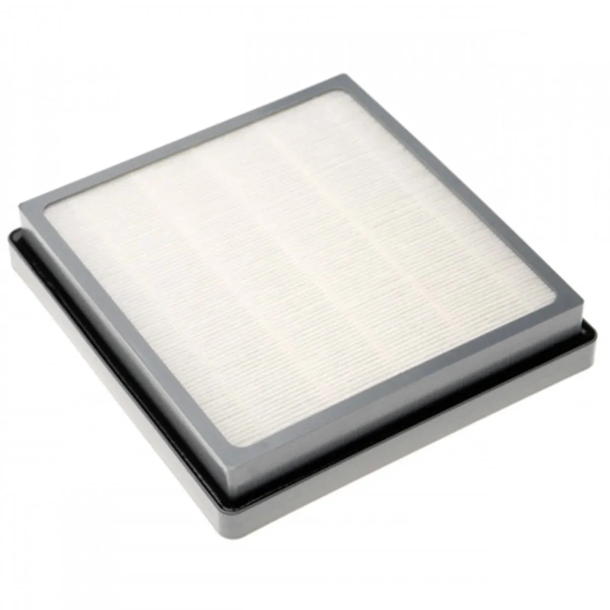 Nilfisk Filtro Hepa aspirateur Family - Business 12015500