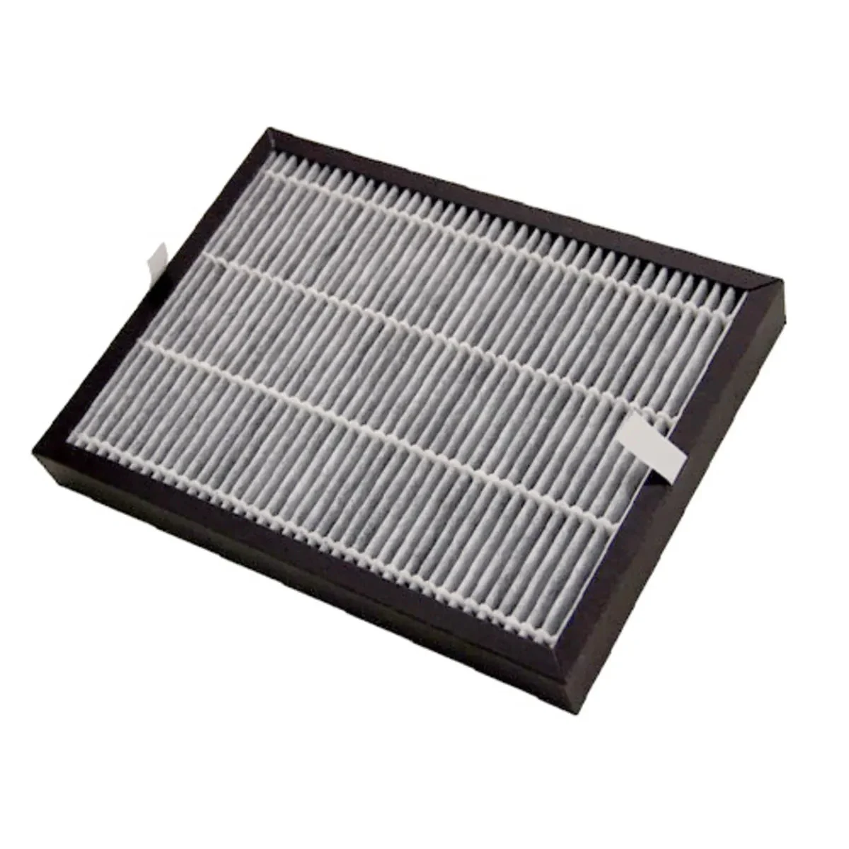 DeLonghi Filtre de purificateur d'air déshumidificateur 5514810041