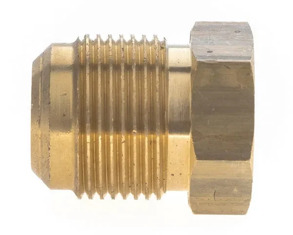 Bouchon SAE 3/4' 'm - STANDARD