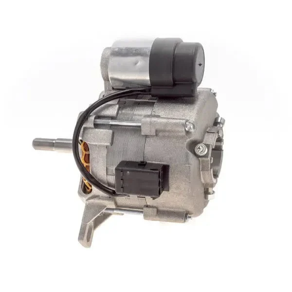 Moteur brûleur pour chauffe-eau Lamborghini 01100880 100W 220V