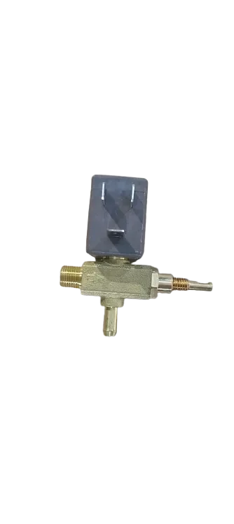 Électrovanne complète Polti M0006348 - Vaporella Super Pro, Lux et Presto