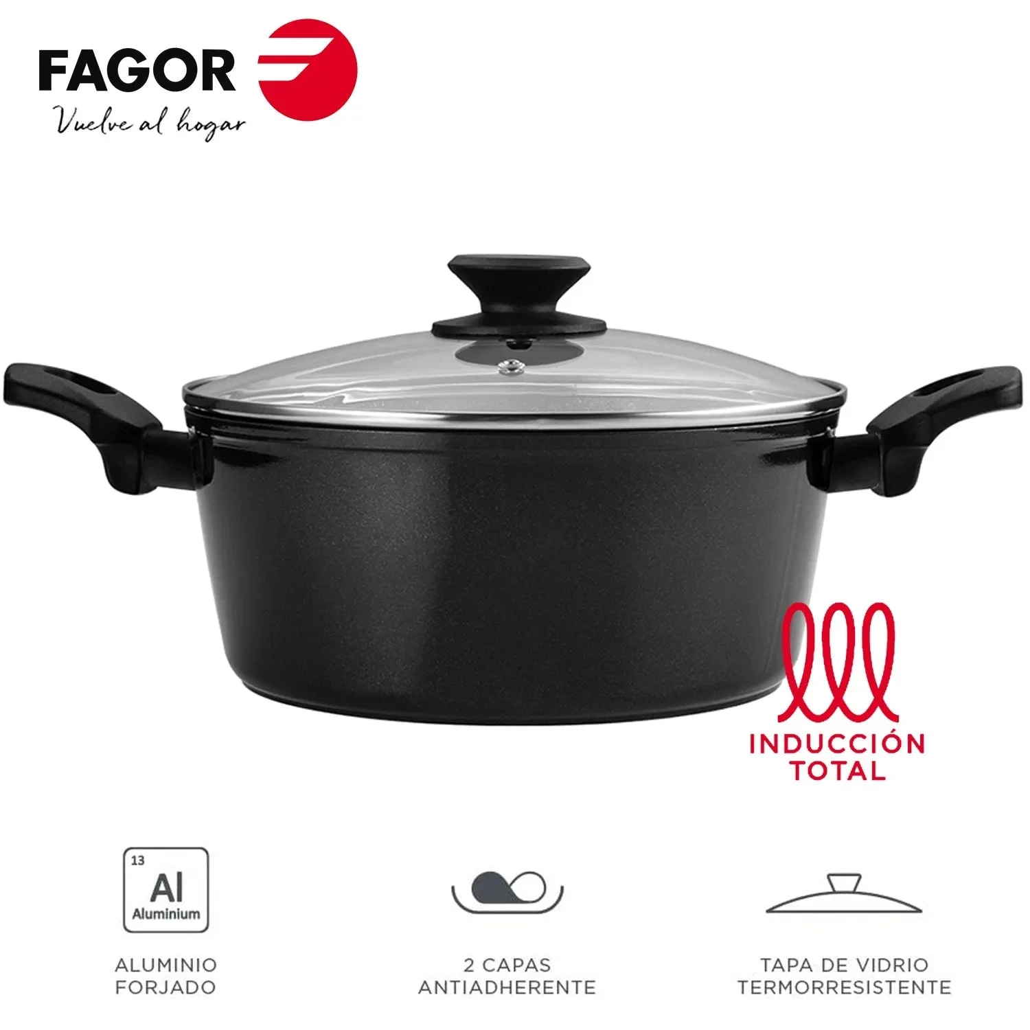 FAGOR Marmite VIVANT Noire + Couvercle Ø20