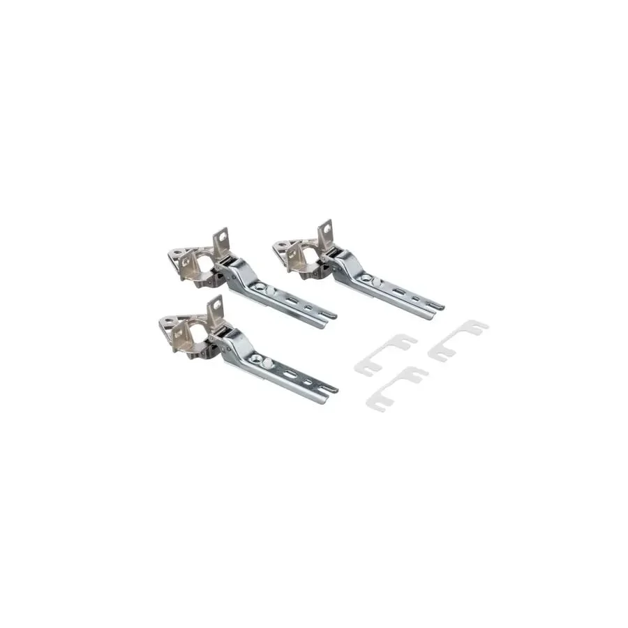 Kit de charnières de porte de réfrigérateur Bosch, Siemens 00268699 - BSH